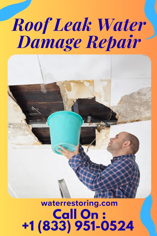 Roof Leak Water Damage Repair in Holtville, CA
